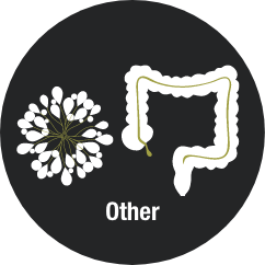 Other Icon