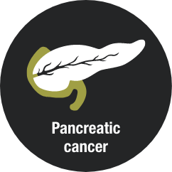 Pancreatic Cancer Icon
