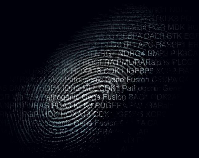 fingerprint